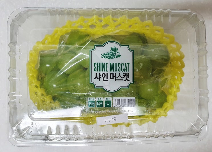  [ 내돈내산 ] 너무 비싸 한송이만 구입한 샤인머스캣