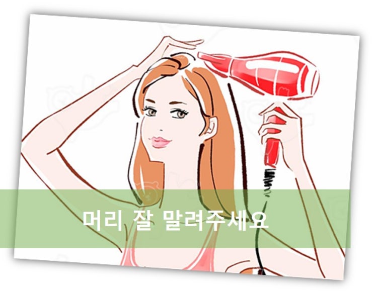  탈모를 예방하는 방법/머리를 말릴때 유용한 방법