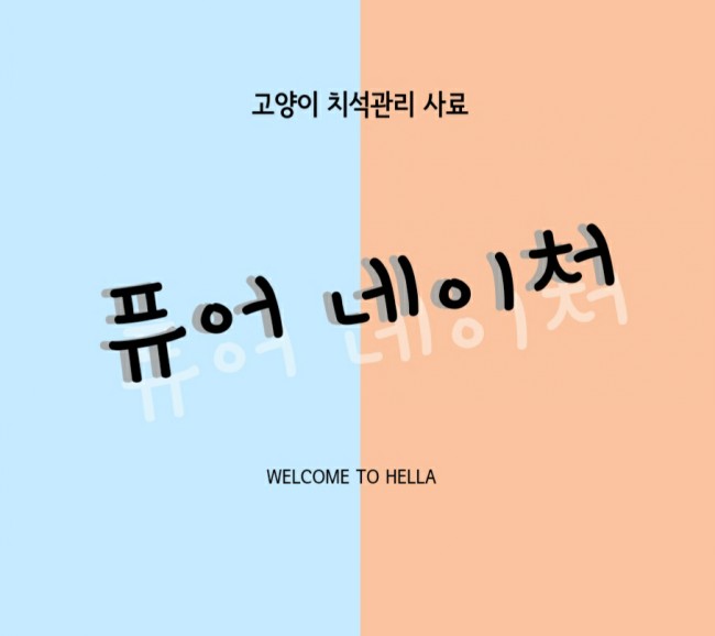  고양이 치석관리 사료 추천 - 퓨어 네이쳐
