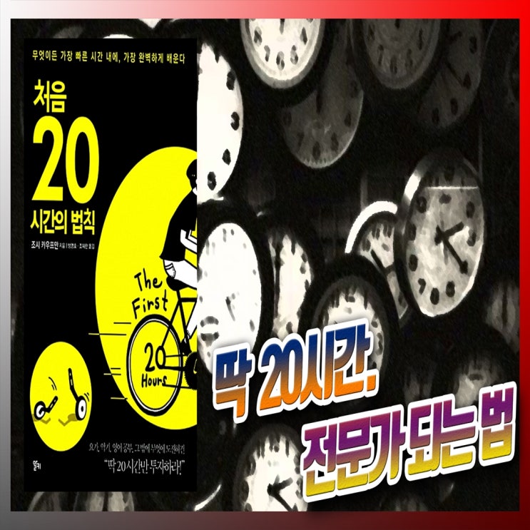 책 리뷰 : 처음 20시간의 법칙 (빠르게 전문가 되는 법)
