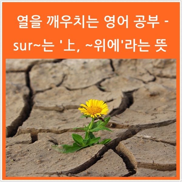  열을 깨우치는 영어 공부 - sur~는 '上, ~위에'라는 뜻의 접두사