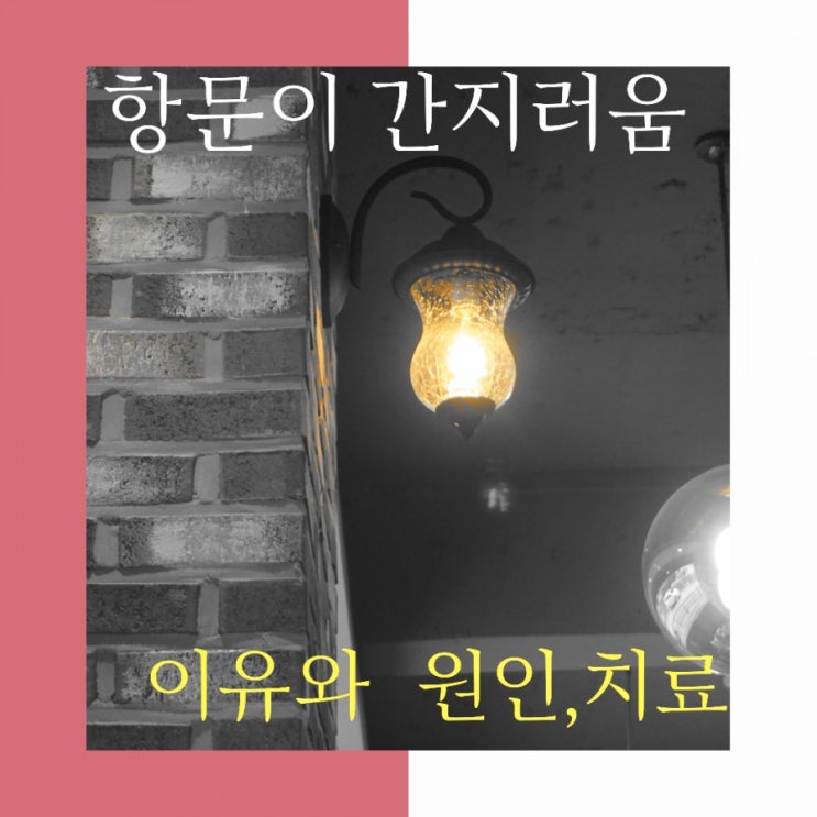  항문  간지러움-이유와  원인,치료