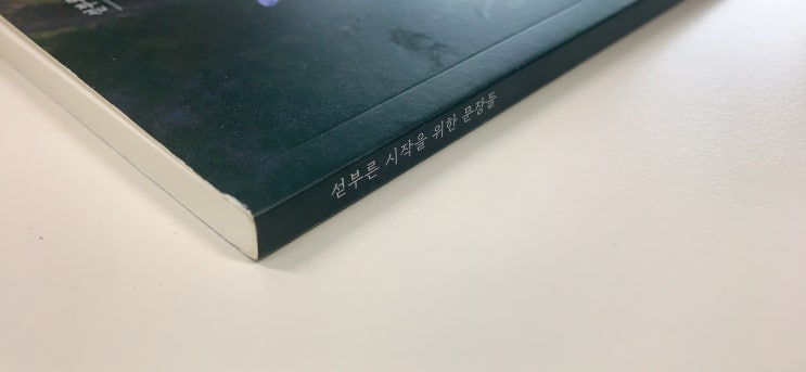  독서노트 || 발코니 || 섣부른 시작을 위한 문장들