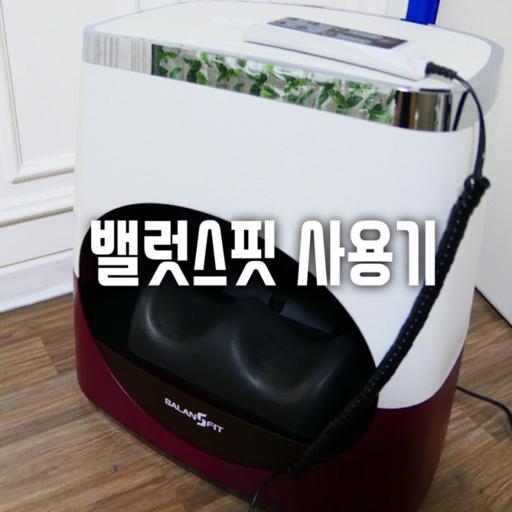  집에서 하는 코어 운동 저도 샀어욤 한은정 밸런스핏