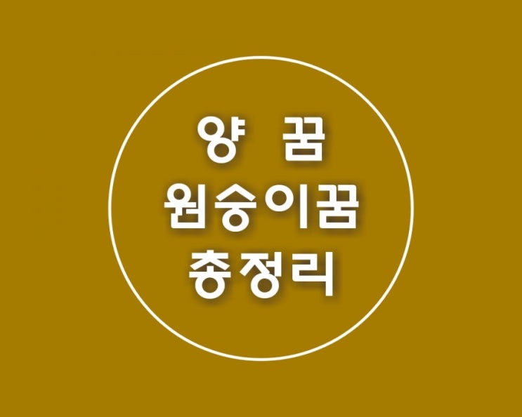  원숭이꿈 양꿈 꾸셨나요 궁금하시죠   속 시원하게 풀이해드려요