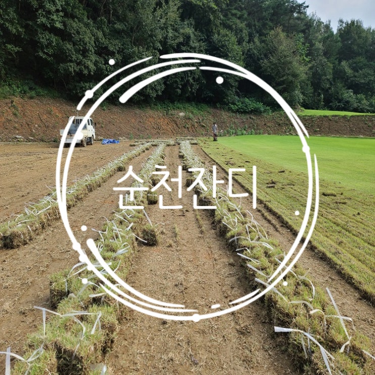  산이 많은 순천 잔디 배송했어요