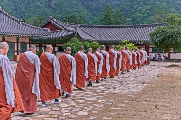 강원도 랜선여행, 백담사에서 만난 떠나는 여름