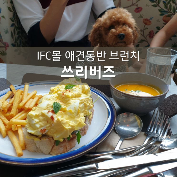  IFC몰 애견동반 식당 / 쓰리버즈 IFC점 : 강아지와 함께 브런치를