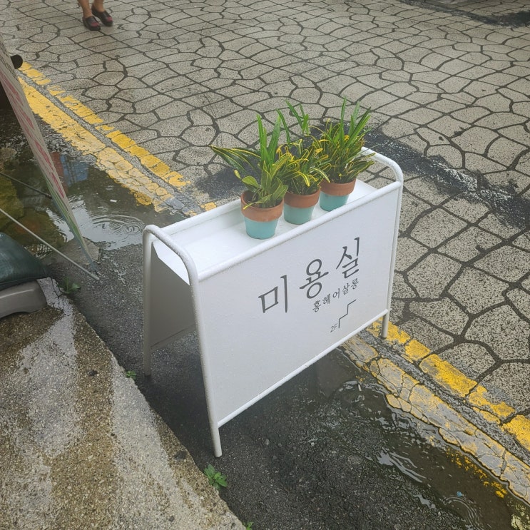  의정부시내미용실  홍헤어 염색 feat. 보는 사람마다 이쁘다함 앞머리 미세한 한끗 차이가 사람달라보이는거 아시죠?