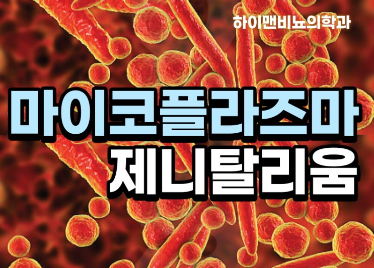  마이코플라즈마 제니탈리움 바로알기