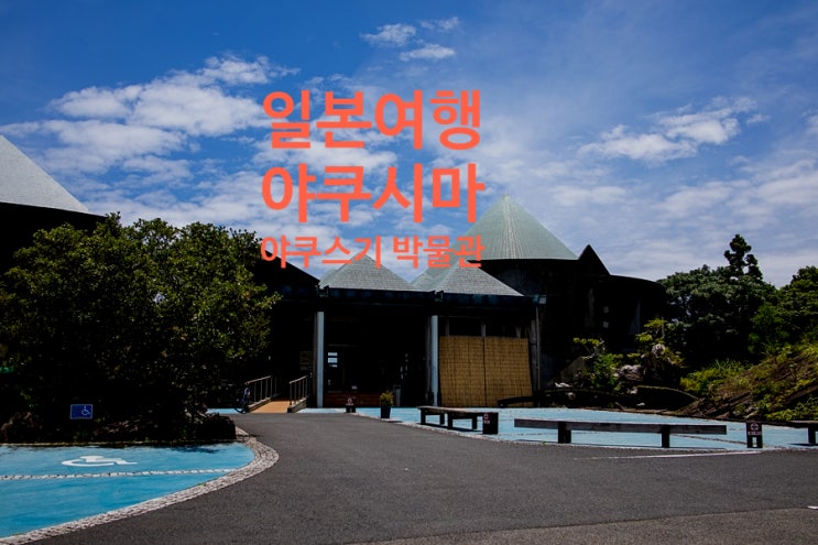 일본여행 가고시마 야쿠시마 가볼만한곳 야쿠스기 박물관 일본여행 가고시마 야쿠시마 가볼만한곳 야쿠스기 박물관