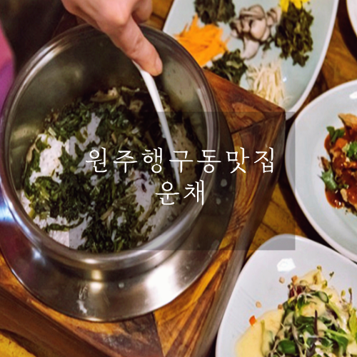  원주맛집 건강한 강원나물밥 운채