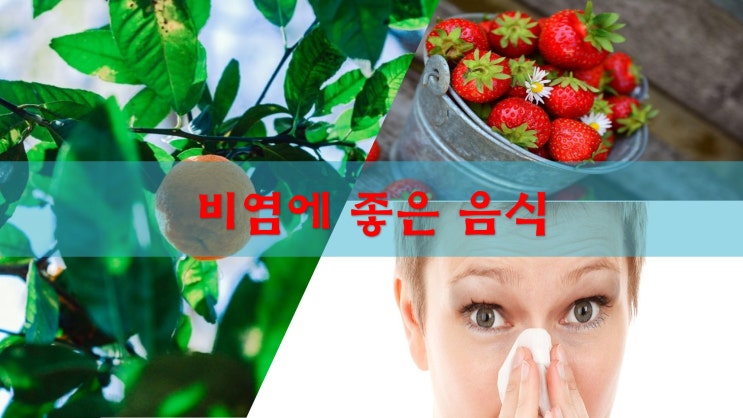  알레르기 비염에 좋은 음식과 알레르기 비염을 완화하는 식품들