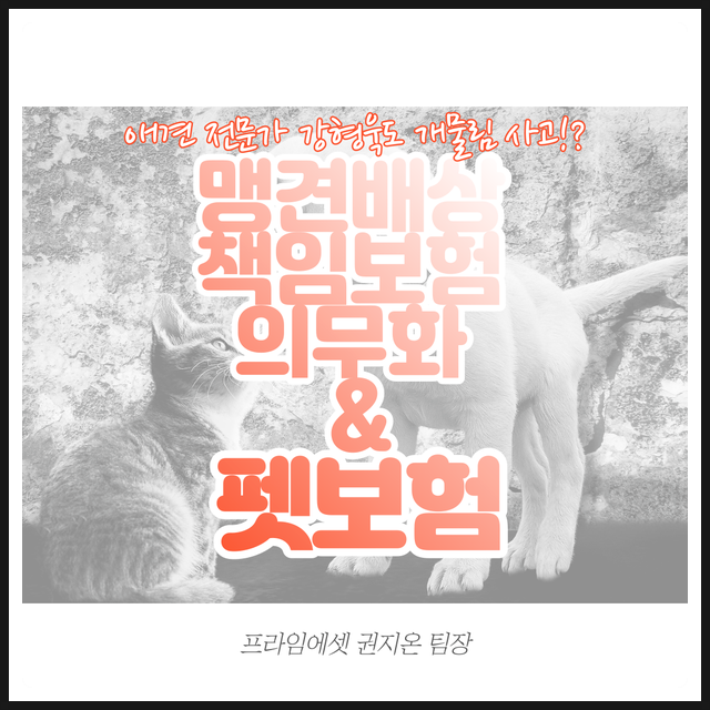개통령 강형욱도 피할수 없었던 개물림 사고, 맹견배상책임 그리고 펫보험