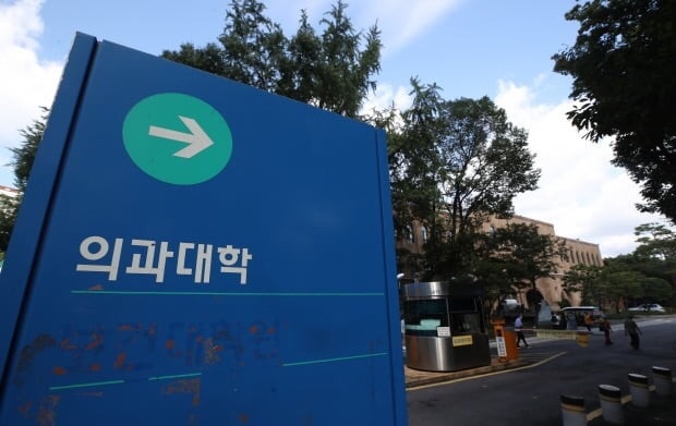  의과대학 본과 4학년 학생의 글