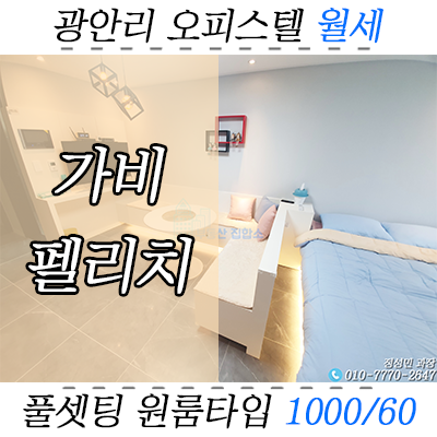 풀세팅 세젤예 오피스텔, 광안리 가비펠리치 원룸 월세 호실 풀세팅 세젤예 오피스텔, 광안리 가비펠리치 원룸 월세 호실
