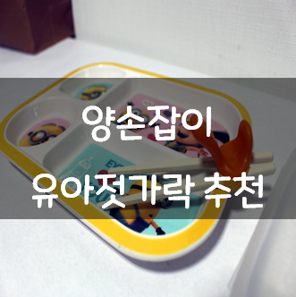  왼손잡이 유전 유아젓가락 선택 후회 양손잡이 추천