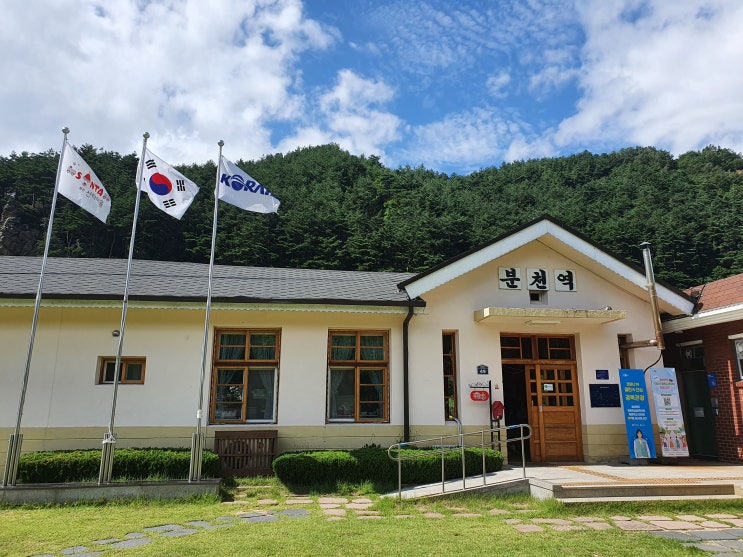  (2020년 8월 동해산타열차) #5 분천역 산타마을!