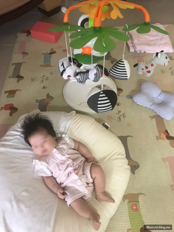  흑백 모빌 사용시기 / 컬러 모빌 언제까지 써야할까?