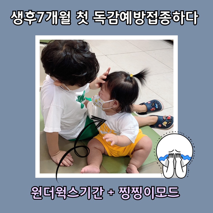  육아일기 7개월 아기 2020년 첫 독감예방접종하기 (2회접종 대상)
