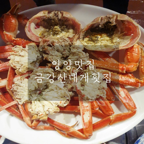  양양대게찜 45년 전통맛집 금강산대게횟집
