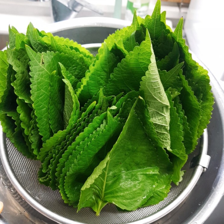  입맛 돋는 깻잎김치