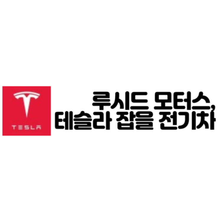  테슬라 배터리데이, 전기차 독주 끝? 루시드 에어 출시!