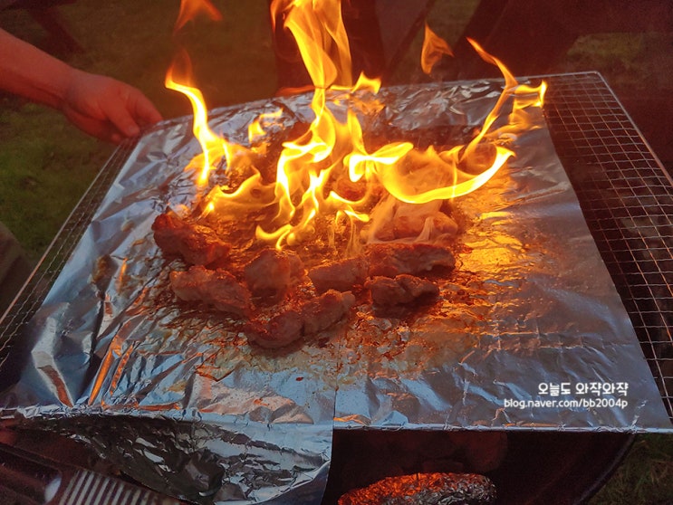  부안 풀꽃펜션에서 바베큐파티! 사장님 짱 친절한 곳