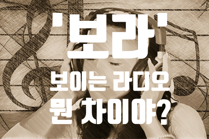  '보라' 이게 뭐임? 보이는 라디오! 알아봅시다