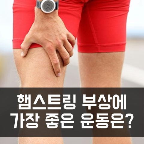  햄스트링 부상 예방과 재활에 가장 좋은 운동은 무엇일까!? (강도, 부위별 비교)