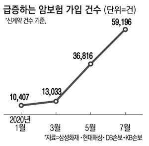 암보험 가입 5배 늘었다…표적항암치료 특약이 견인 암보험 가입 5배 늘었다…표적항암치료 특약이 견인