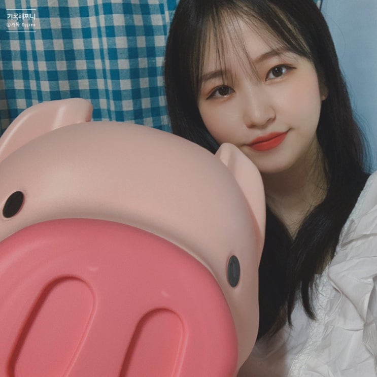  돼지저금통으로 티끌 모아 티끌