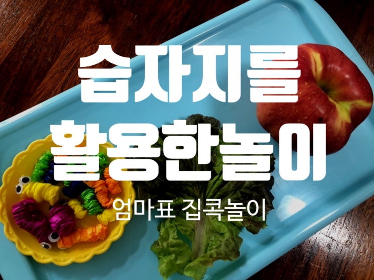  습자지로 애벌레, 빗물, 미술 놀이를 해요~ (Ft 4세 집콕놀이)