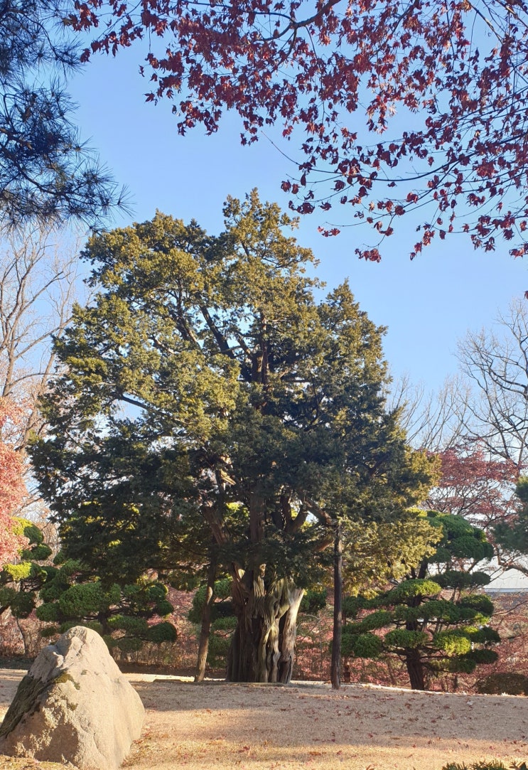  난임탈출 성공기 3.