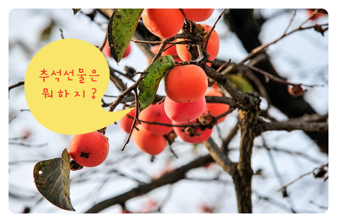  추석 선물은 고민말고, 정관장 애브리타임!