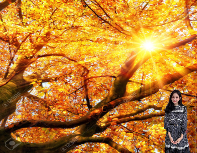[9월 가을의 시] 가을햇살 - 오광수