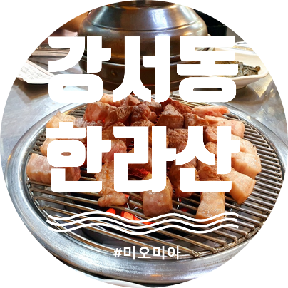 [청주 맛집] 청주에서 제주를 느끼다. 제주산 돼지고기 맛집! 강서동 한라산