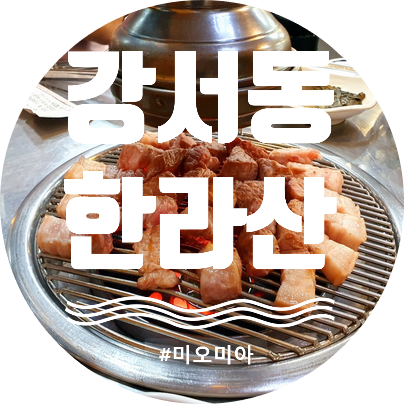  [청주 맛집] 청주에서 제주를 느끼다. 제주산 돼지고기 맛집! 강서동 한라산