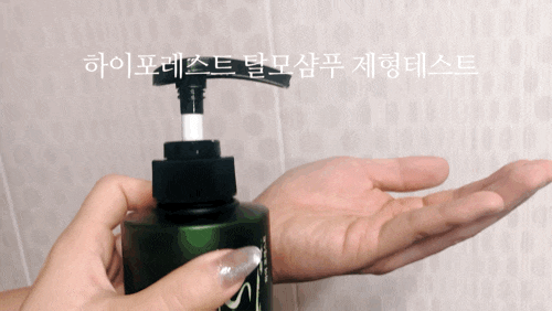 셀럽뷰티2추천이시영탈모샴푸 새싹뿌리케어 하이포레스트샴푸