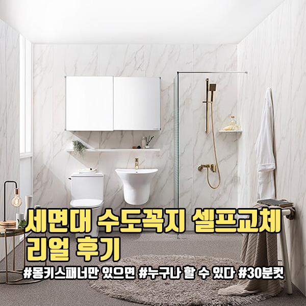 [생활노하우] 화장실 세면대 수도꼭지 셀프교체방법 (feat. 누구나 할 수 있다)