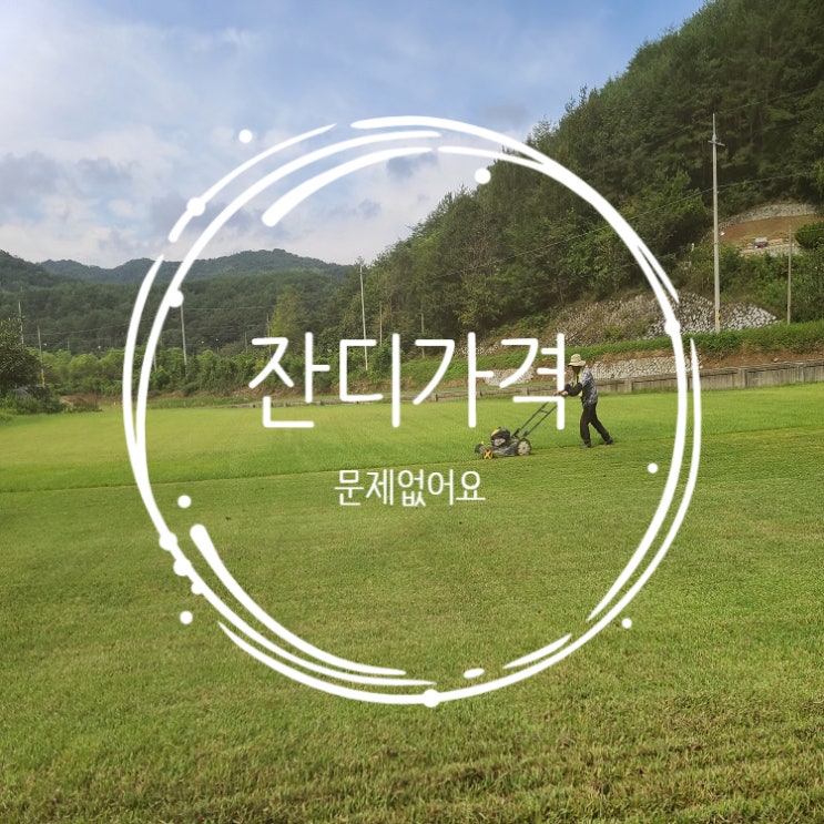  잔디가격 문제없어요