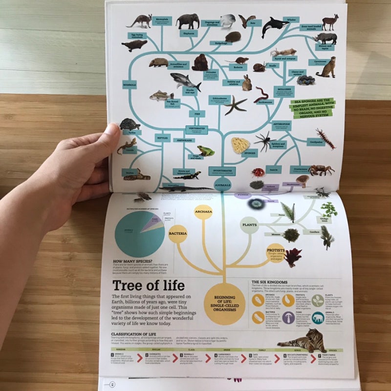 Dk the picturepedia,스미소니언 그림백과사전은 집에 꼭 하나씩은 필요합니다!!!! : 네이버 블로그