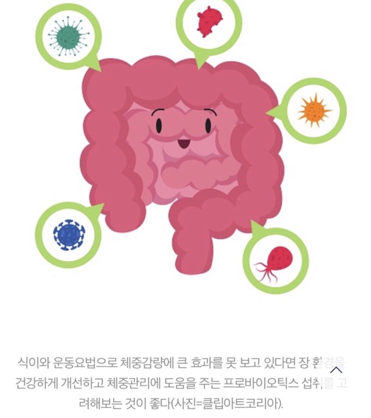  뉴스킨 유산균 프로바이오틱스