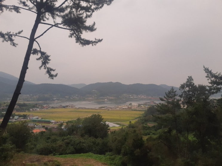  계절의 변화가 나를 흔드는 것 같아요..