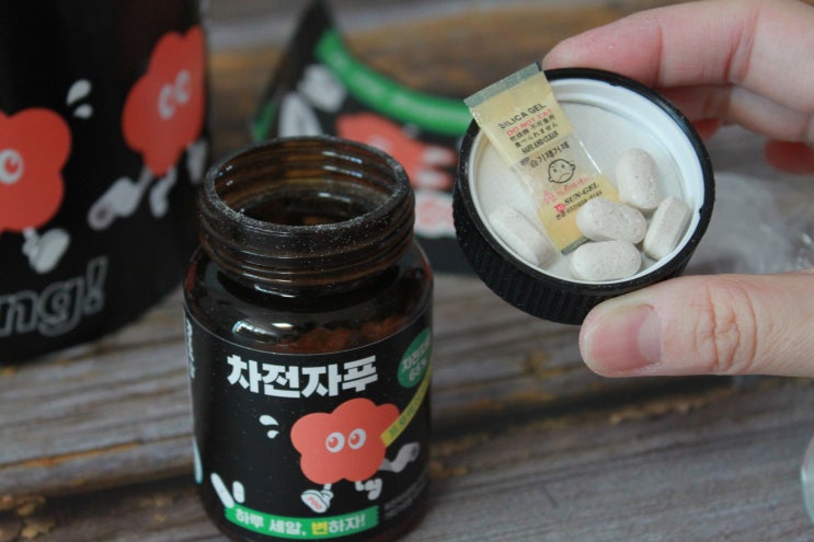  차전자푸 식이섬유와 유산균을 한번에