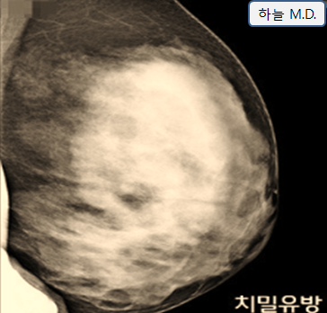  환자 상대로 서류 장사? 진료확인서 vs 진단서