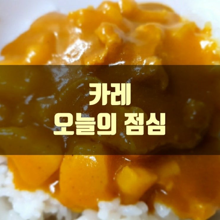  생초보의 카레 만들기
