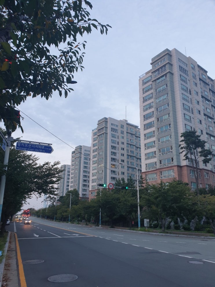  부산 명지오션시티 퀸덤 1단지 영구바다 조망 에디슨타운 임장기 매수기