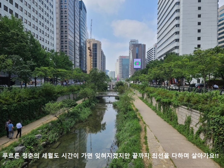 tvN 여름방학 촬영지 '봉포해변'은 어디?...이용시간과 위치 공개