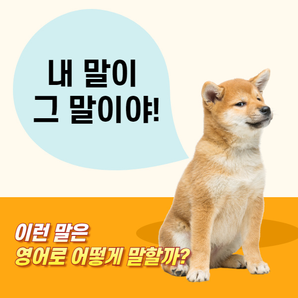  내 말이 그말이야 영어로는? Tell me about it